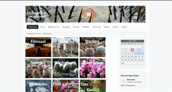 Desktop Screenshot of cactusinfo.nl